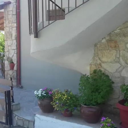 Skioni Halkia 3*